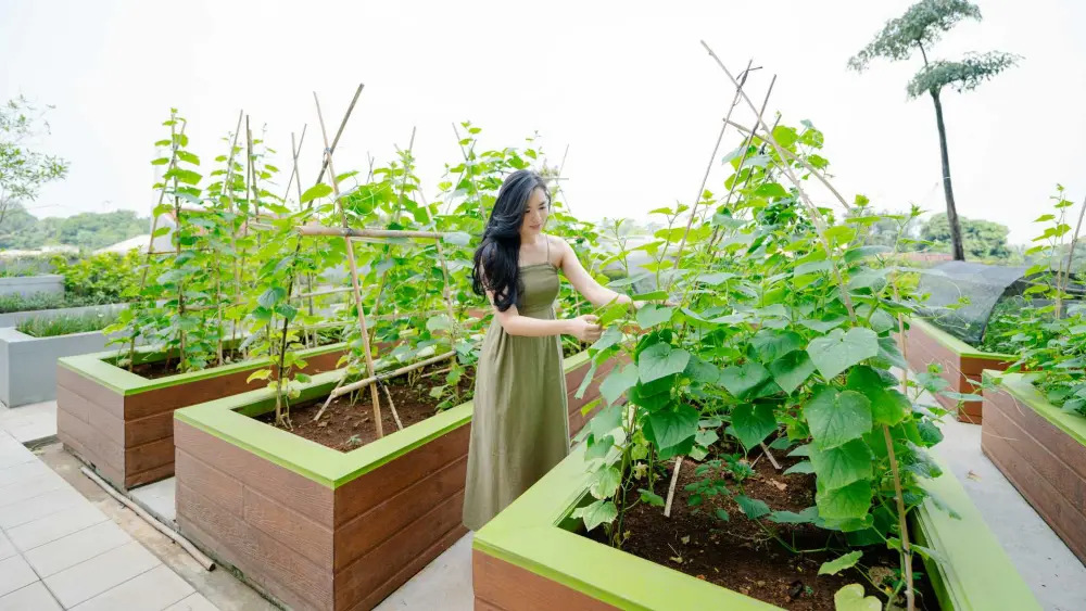Fasilitas Nursery Garden